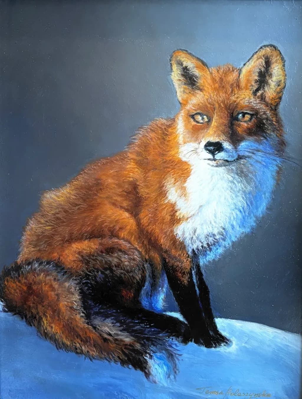 Winter Fox cub