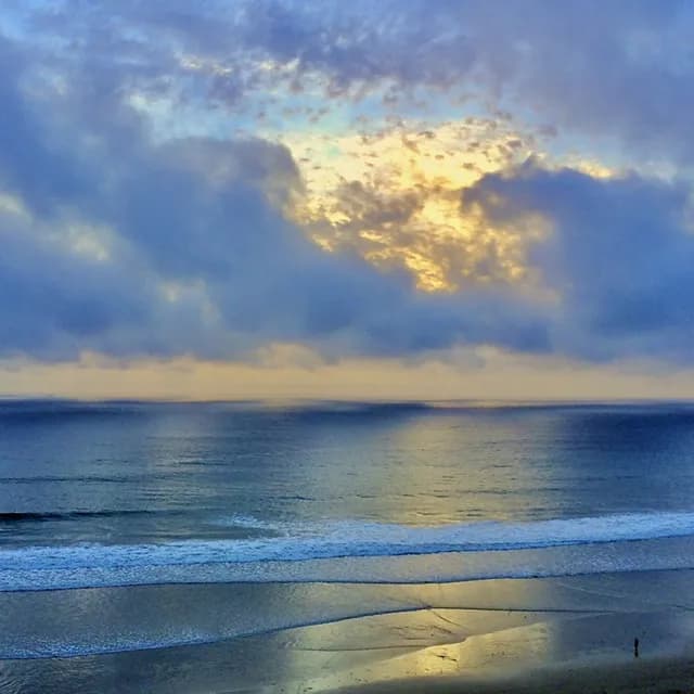 Coastal Reflections