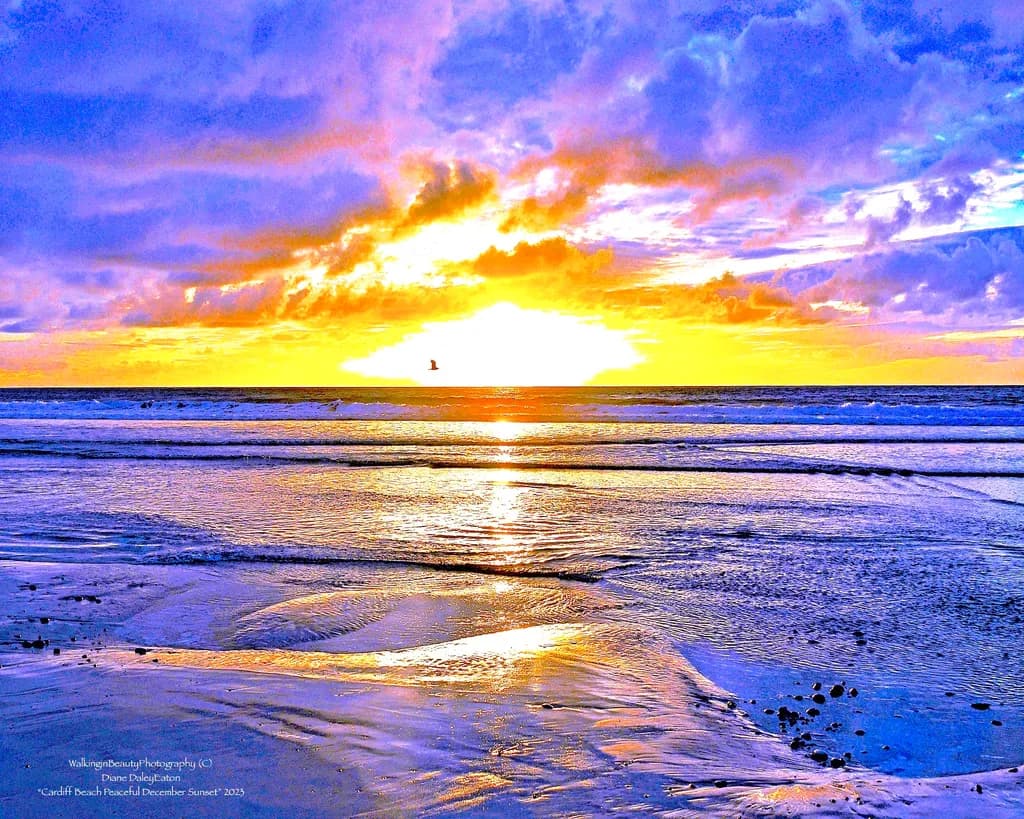 Peaceful December Sunset