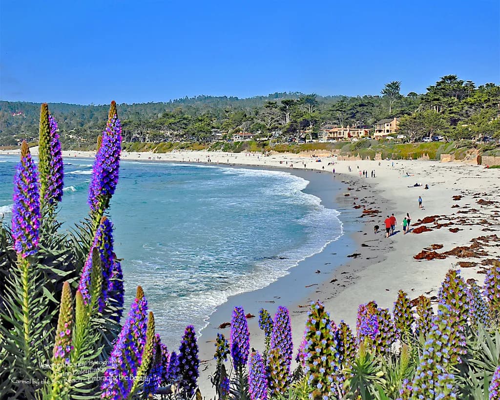 Carmel By-the-Sea Beach