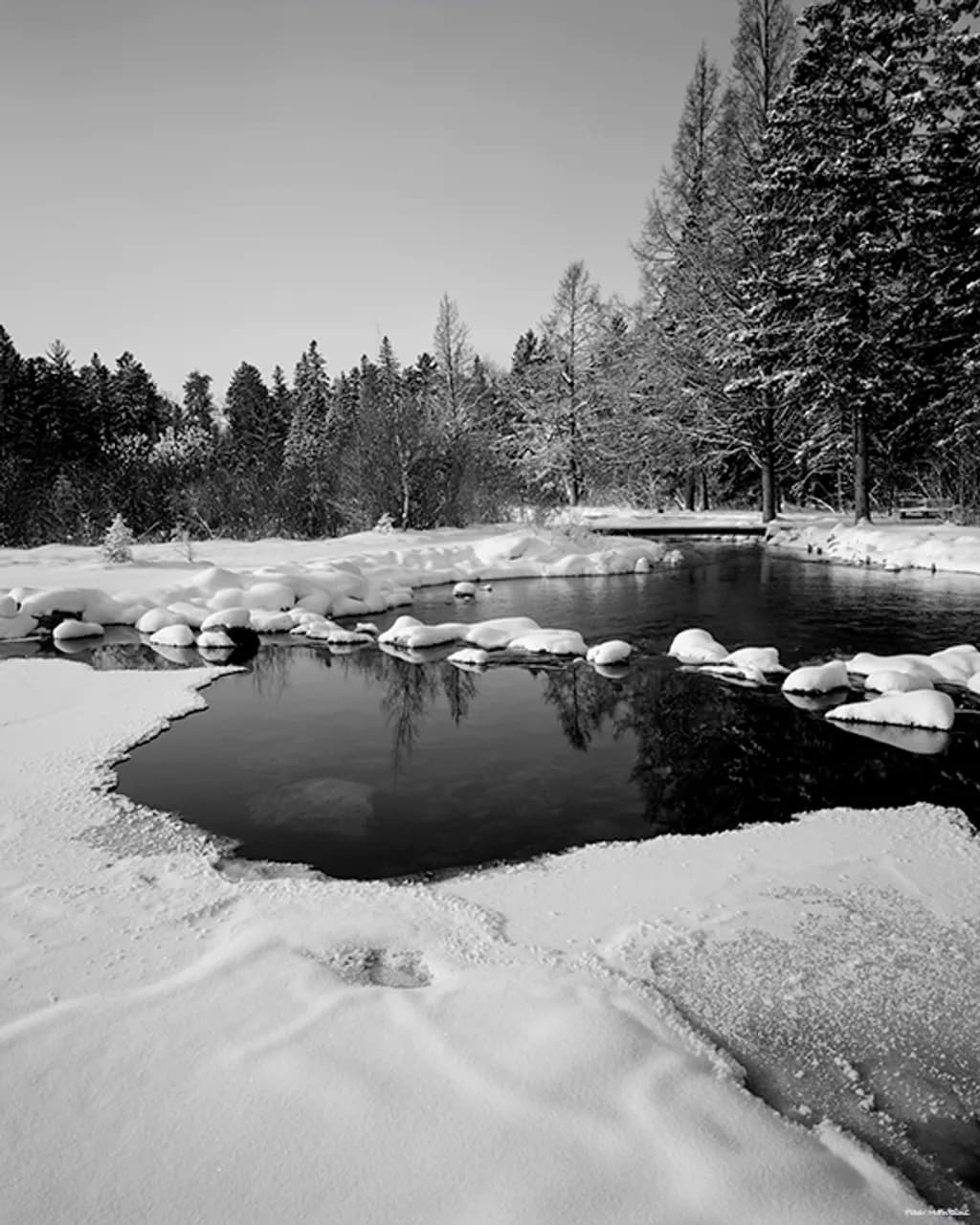 DP07 B&W Headwaters