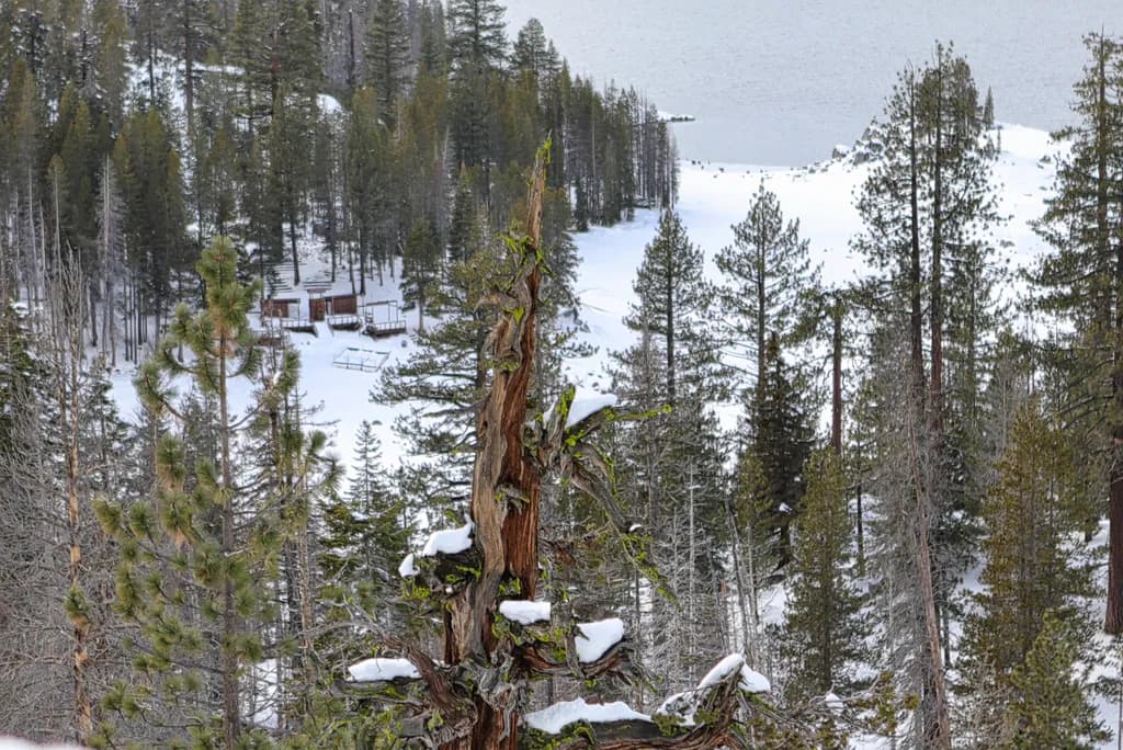 Whispers of Winter: A Serene Journey Through Snow-Capped Pines and Tranquil Waters