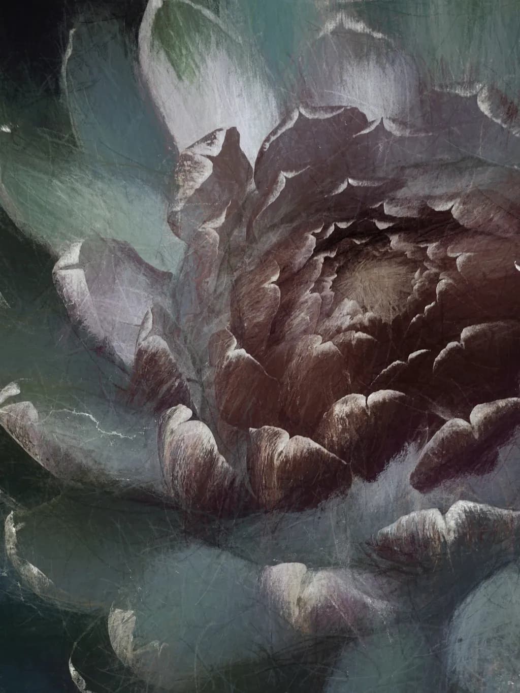 Artichoke Flower