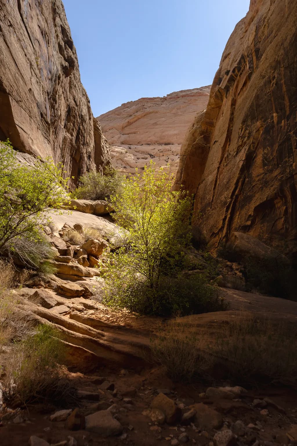 Whispers of Light: A Serene Canyon Landscape Embracing Nature's Beauty