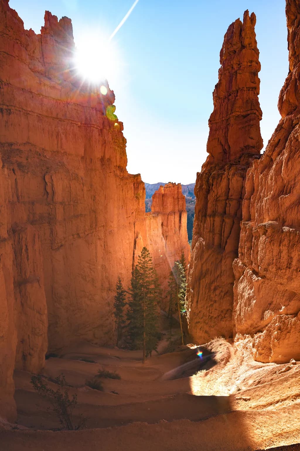 Sunlit Serenity: A Majestic View of Bryce Canyon's Red Rock Formations