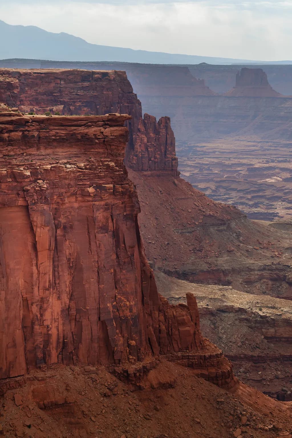 Canyon Reverie: A Journey Through Red Rock Landscapes and Geological Wonders