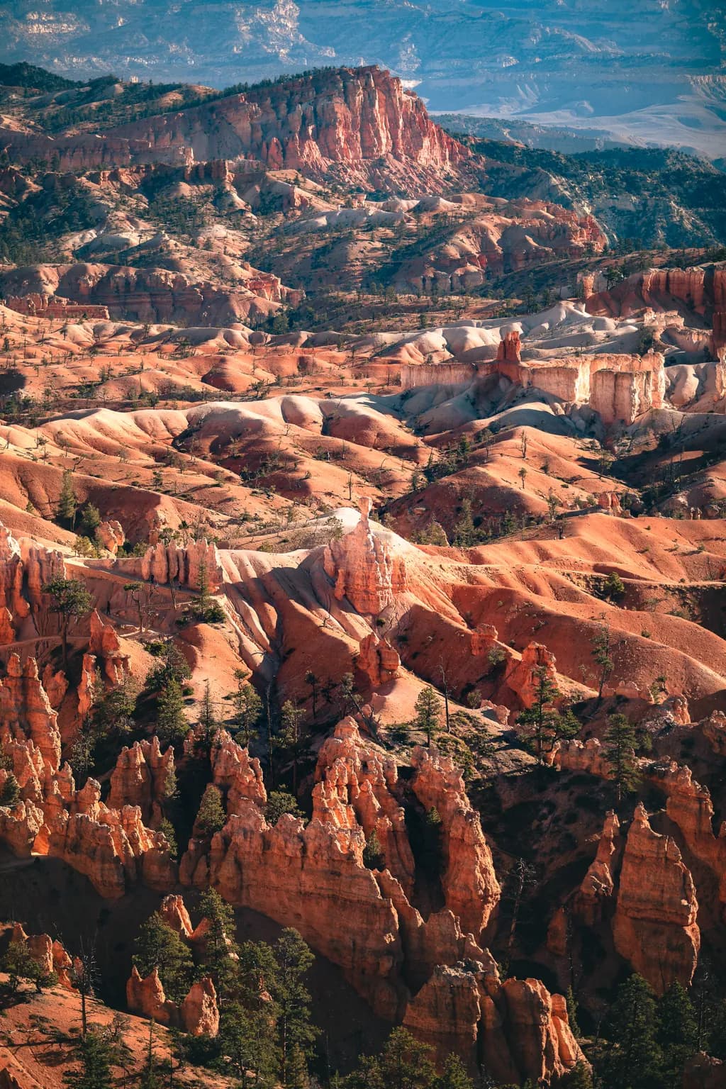 Whispers of the Canyon: A Serene Landscape of Bryce's Majestic Hoodoos and Sunlit Terrains