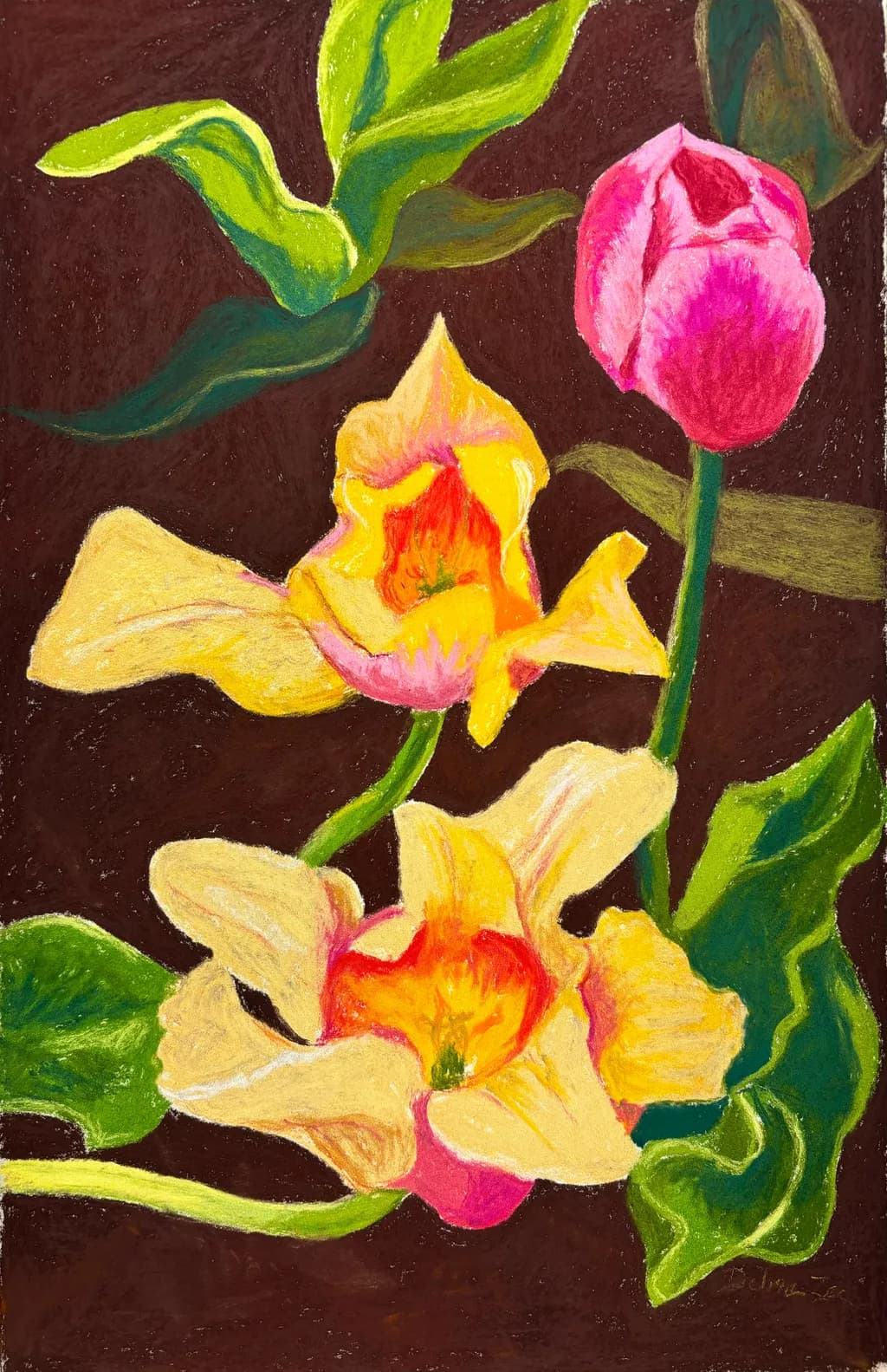 Vibrant Blossoms: A Celebration of Nature's Colors in Floral Harmony