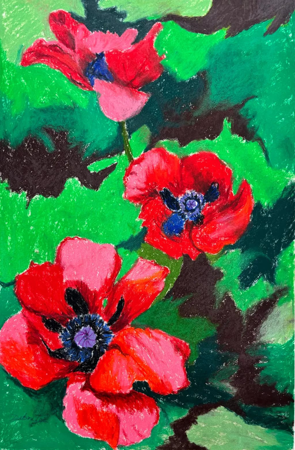 Poppies from my Garden