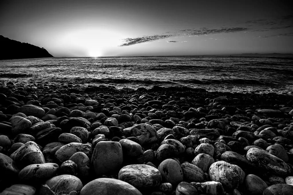 Low Tide Stones