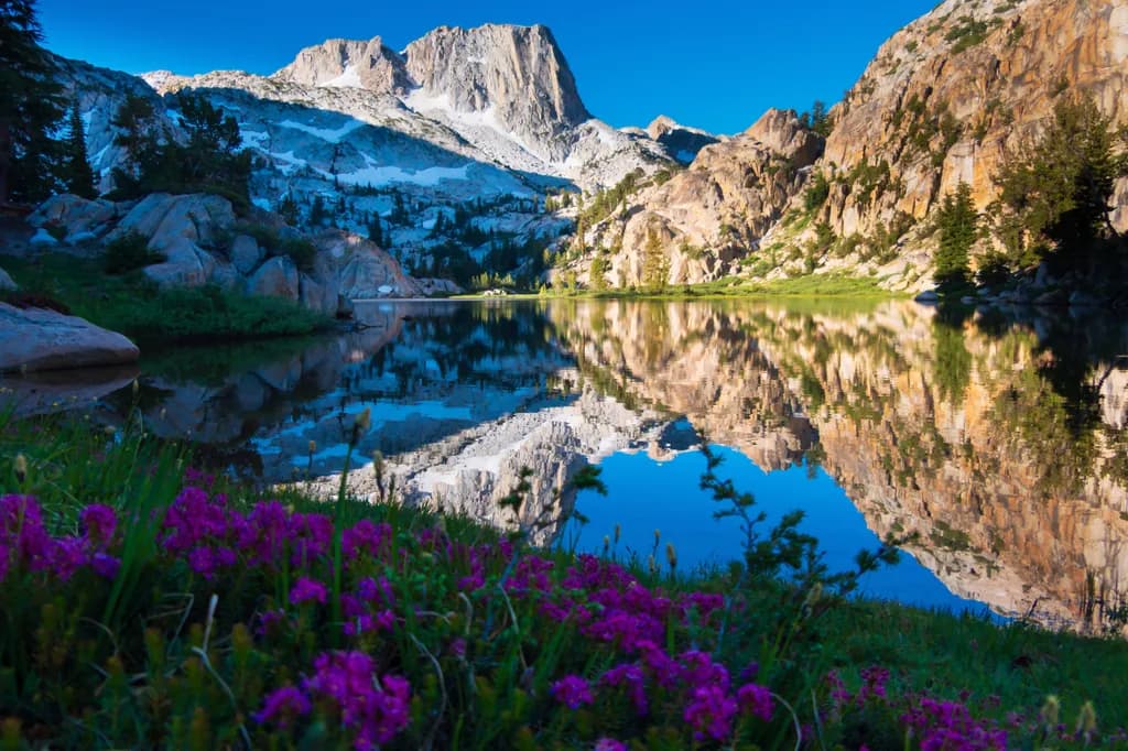 Serenity Reflected: A Tranquil Mountain Lake at Dawn with Vibrant Wildflowers