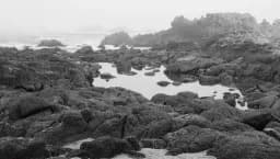 Tidepool Shadowscape