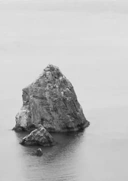Silent Sentinel