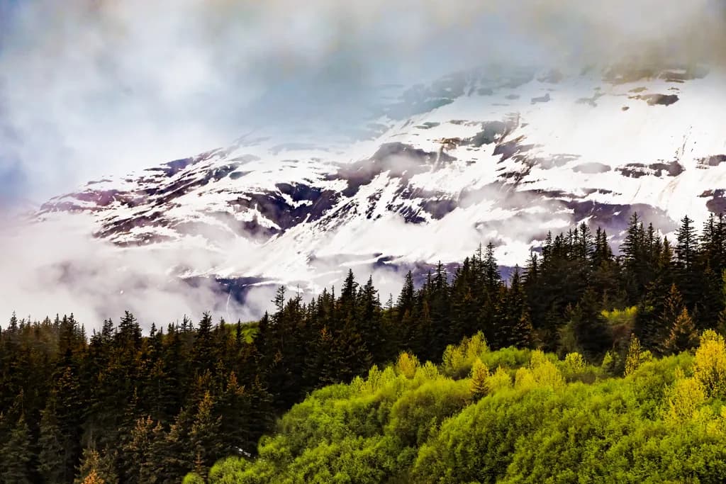 Alaska Mountains and Forest