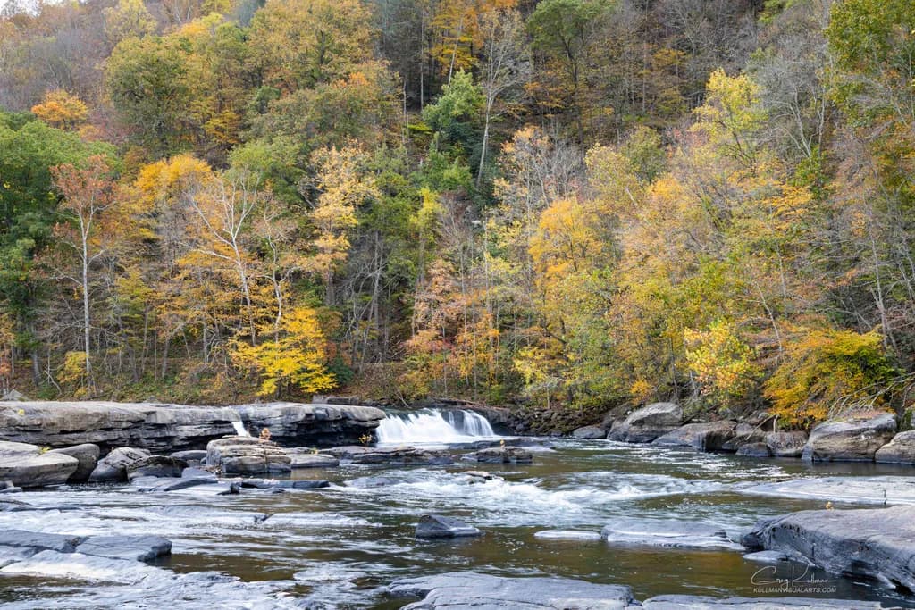 Autumn's Embrace: A Serene River Journey Through Golden Foliage