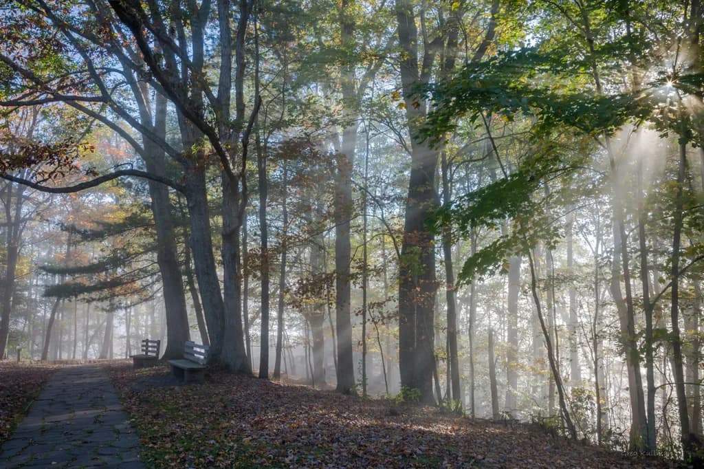Morning Light Pathway