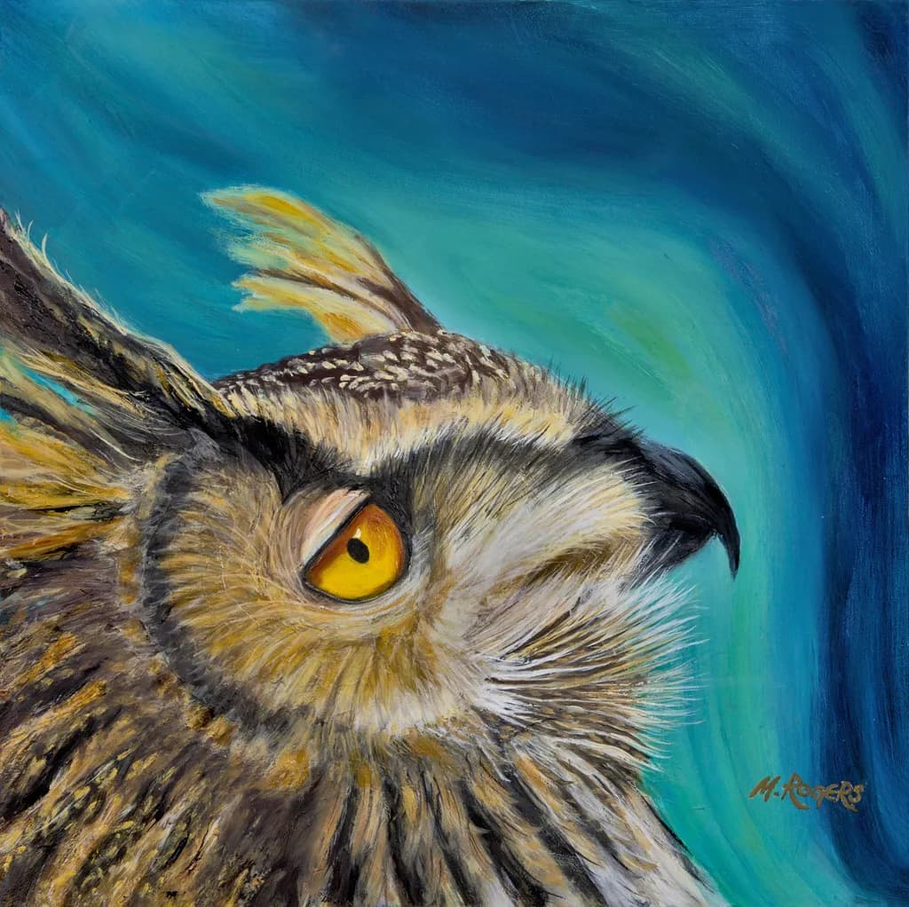 Aurora Owl