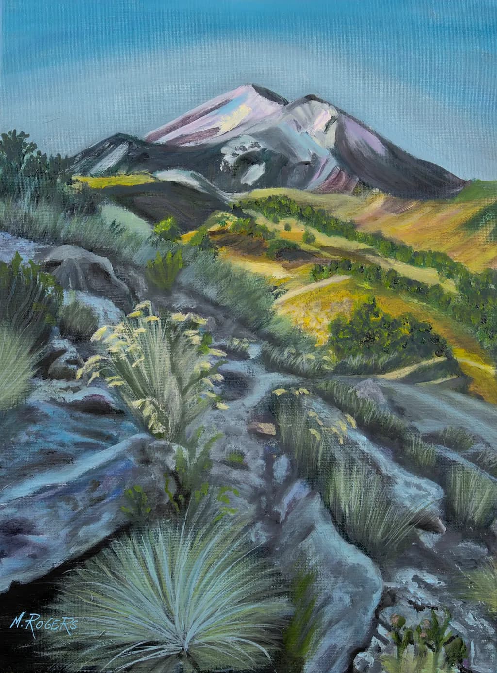 Desert Dreams