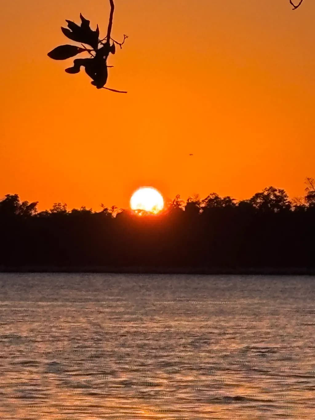 Golden Horizon: A Serene Sunset Over Tranquil Waters