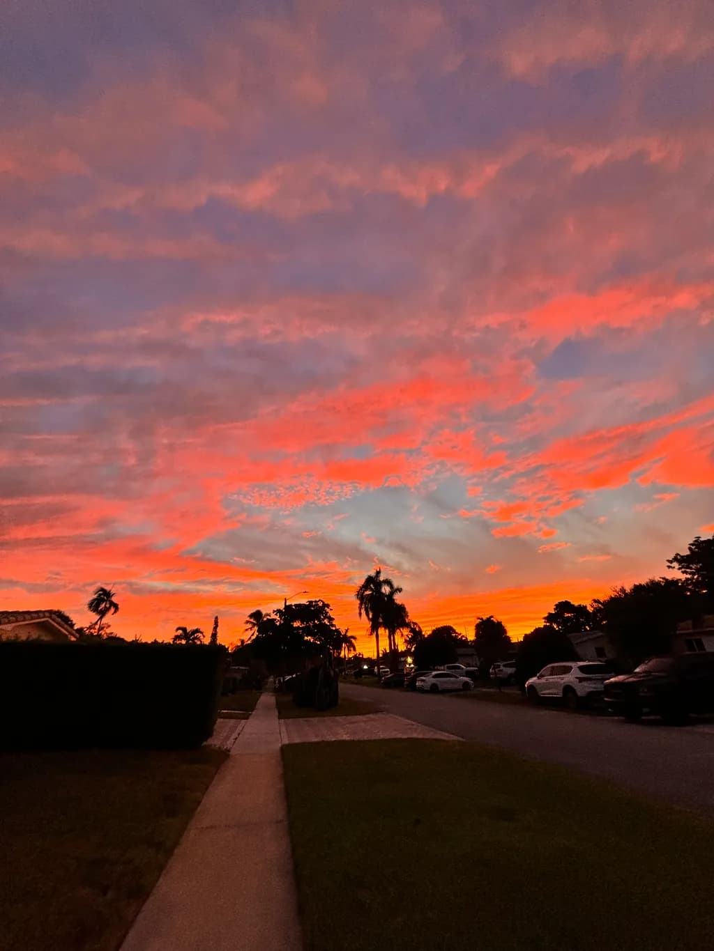 Sunset Serenade: A Vibrant Evening Sky Over Palm-Lined Streets