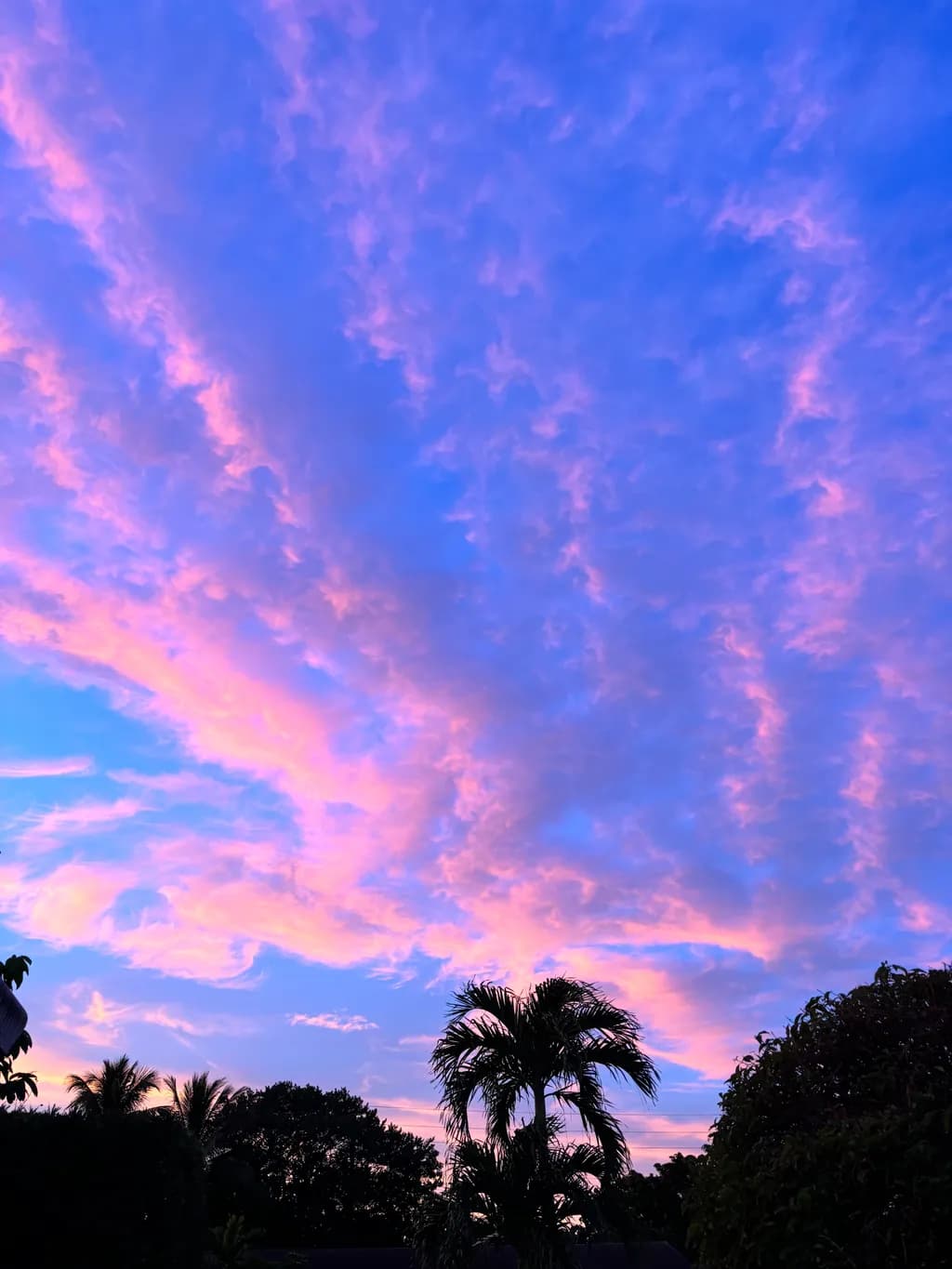 Serene Evening Sky: A Dance of Pink and Blue Clouds