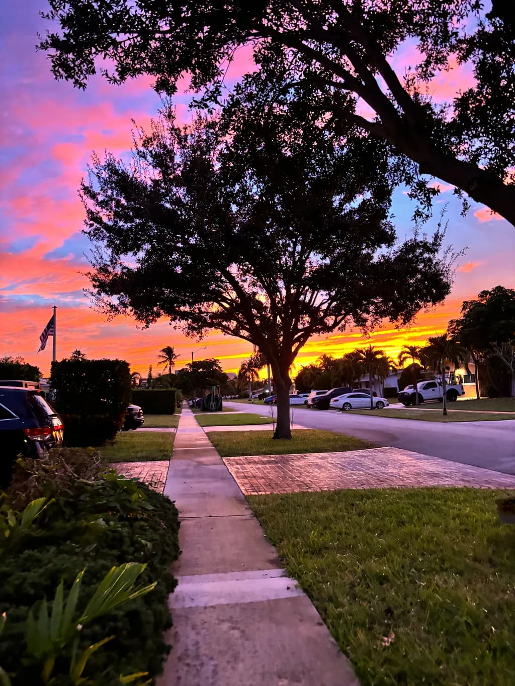 Whispers of Twilight: A Serene Evening Stroll Under a Vibrant Sky