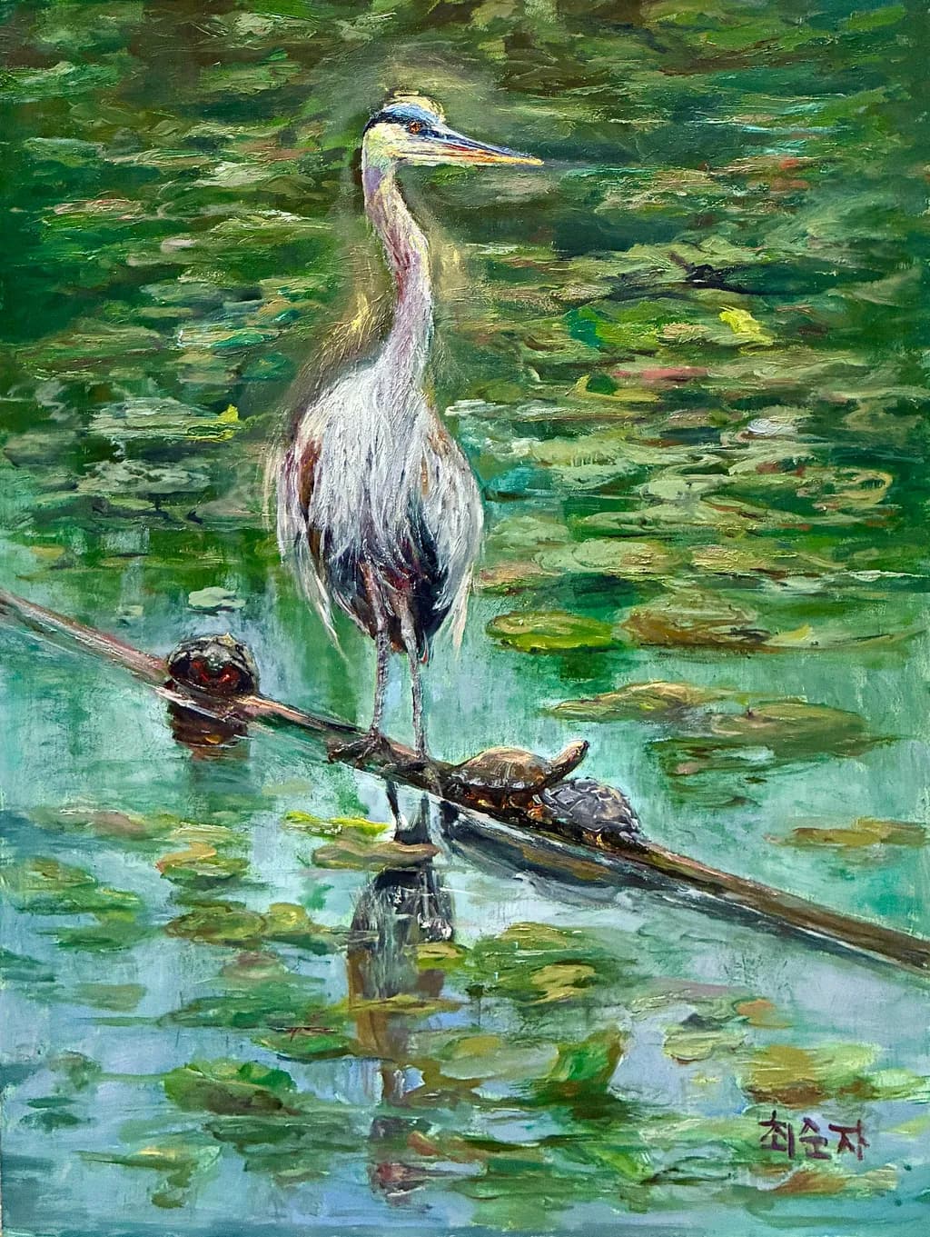 Turtle Perch