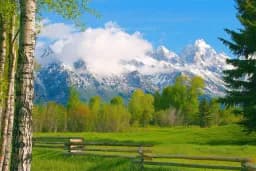 Mountain Daydreams and Fence Chats