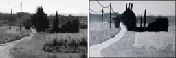 Crop 3 Study
