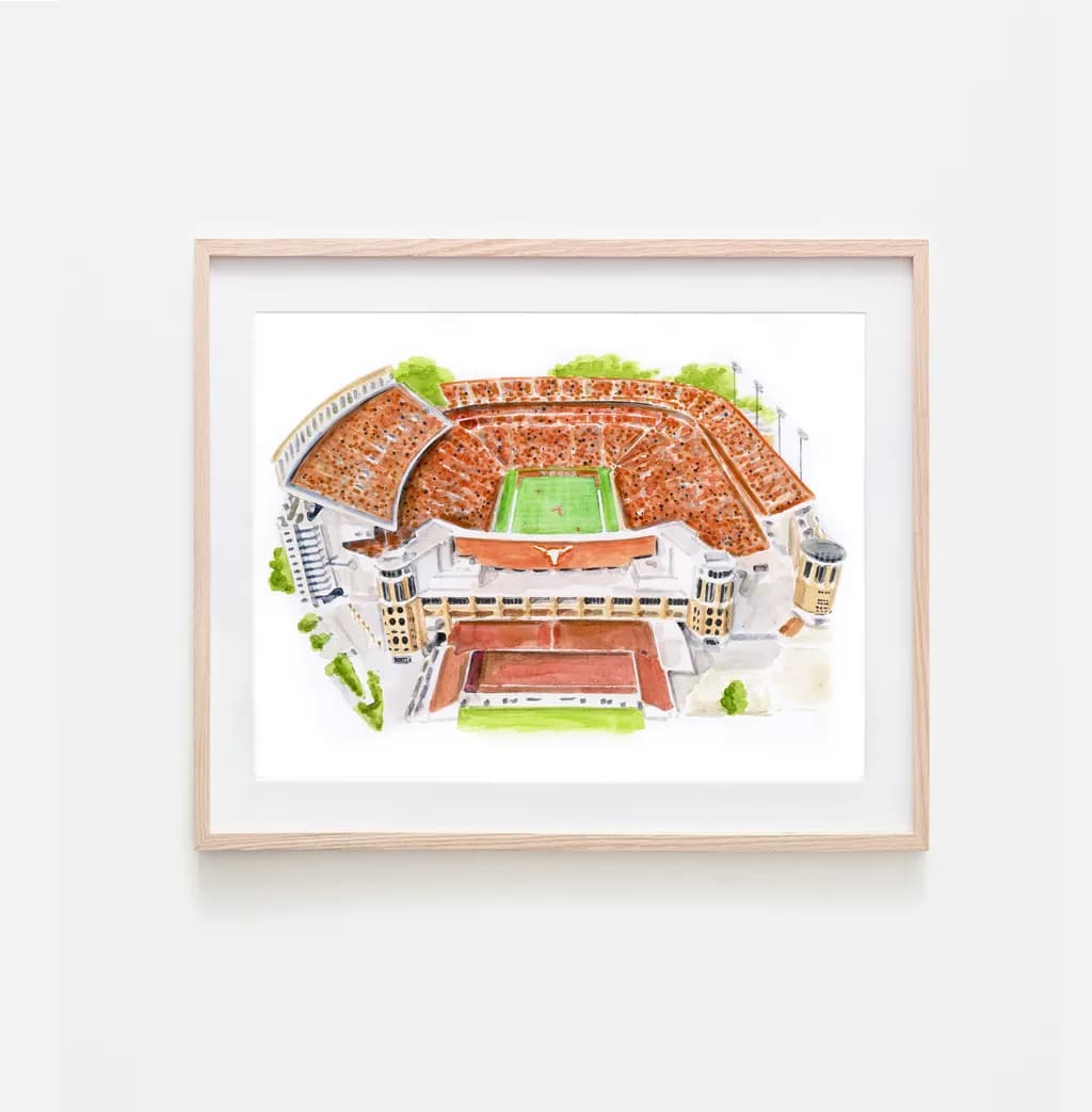 Stadium View