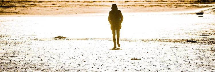Solitude in Golden Light: A Journey Across the Shoreline