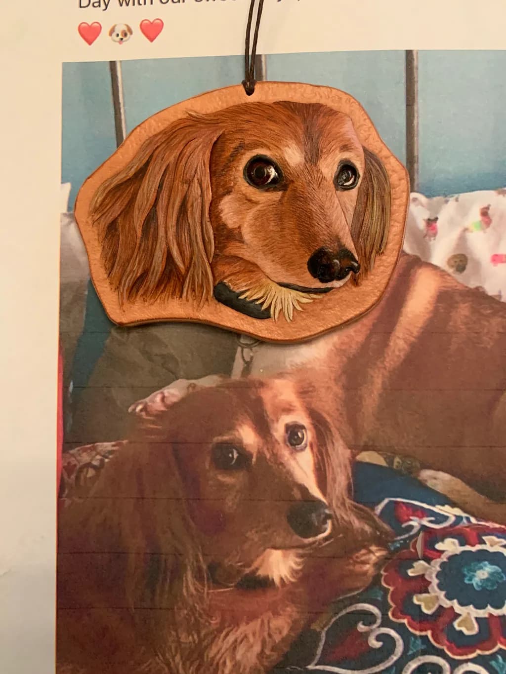 Dachshund Delight