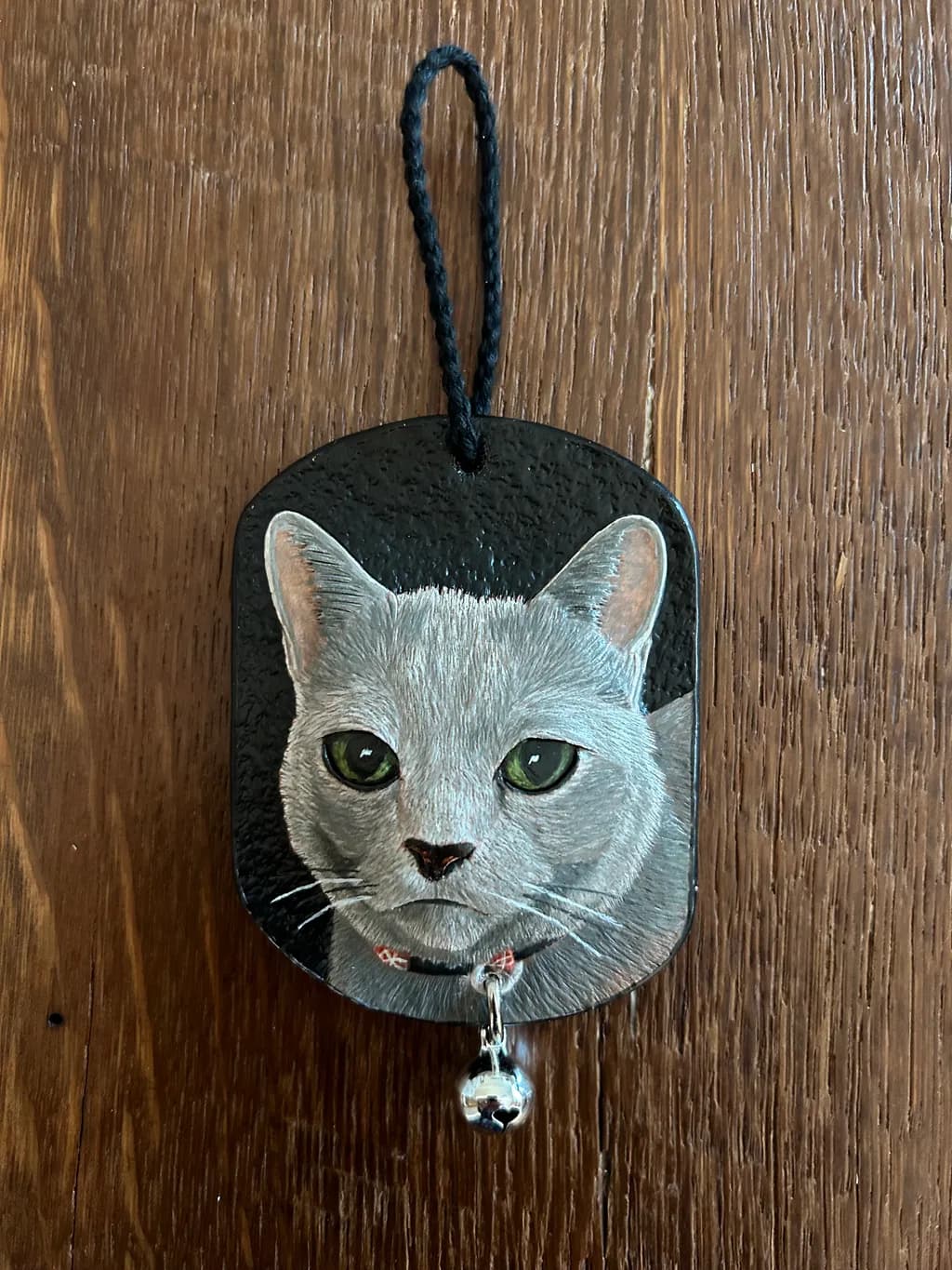 Charming Cat Portrait