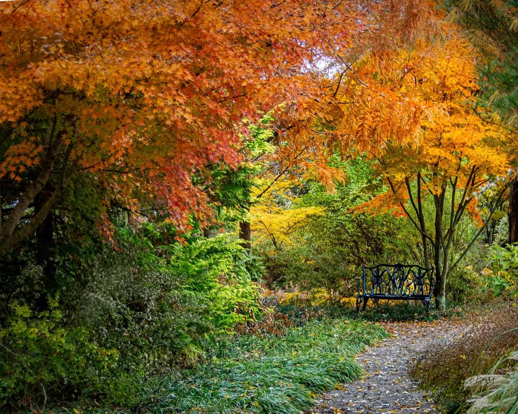 Autumn Rest