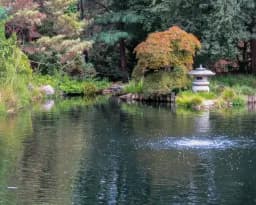 Richmond Asian Garden Pond
