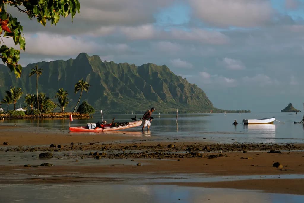 Off To Work In Kaneohe Bay