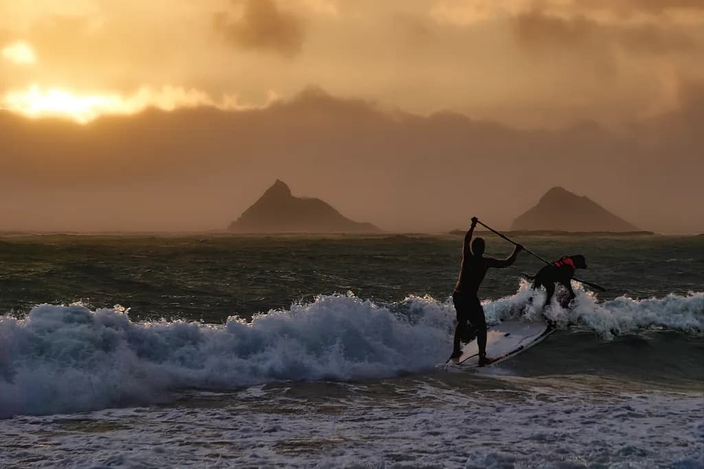 Dog Paddle Hawaiian Style