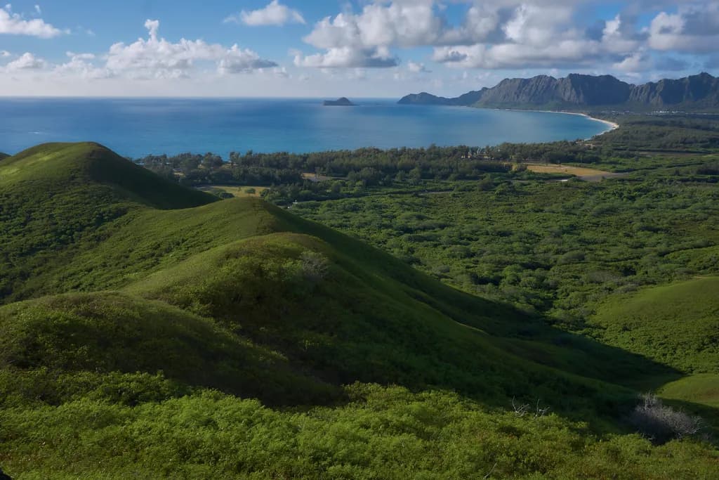 Waimanalo Awakens
