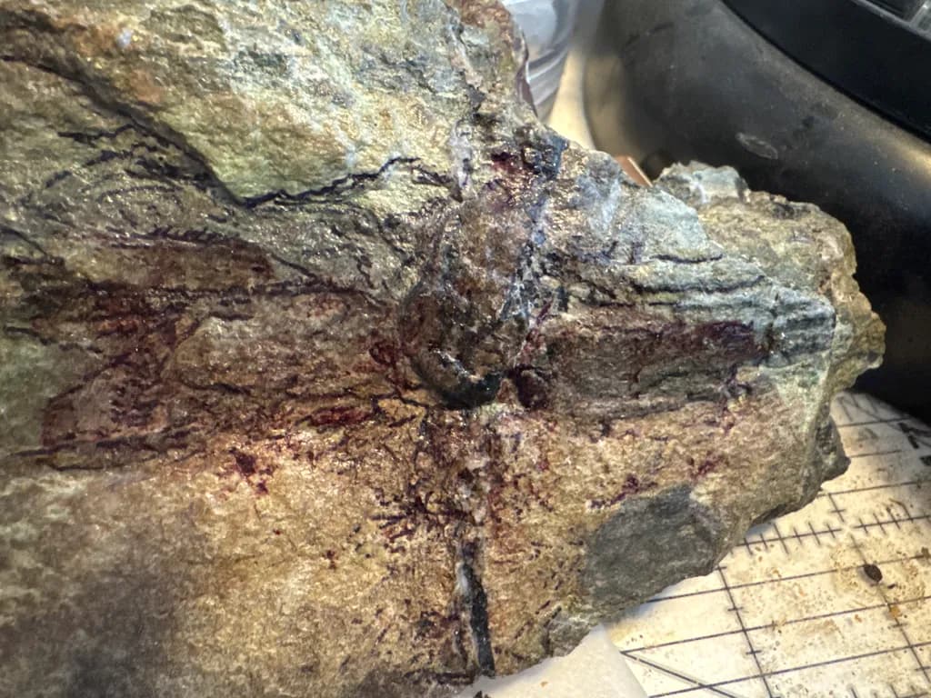 Fossilized Imprint