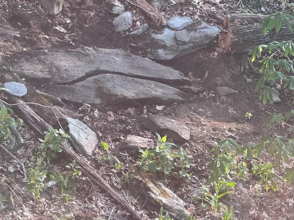 Cracked Earthbed