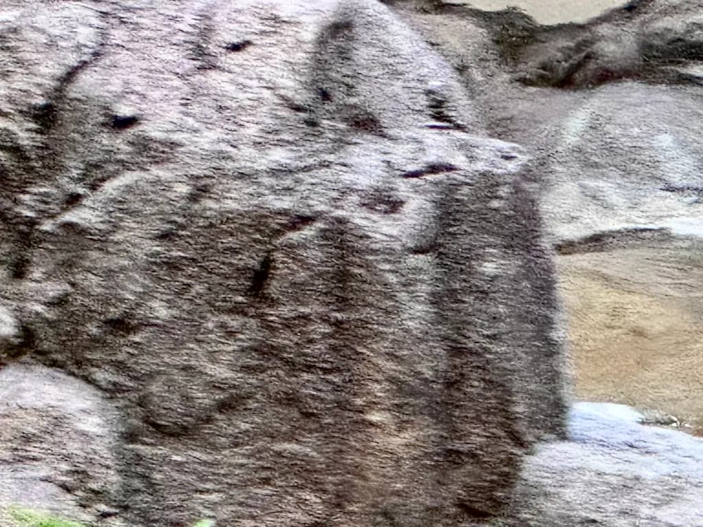 Weathered Stone Face