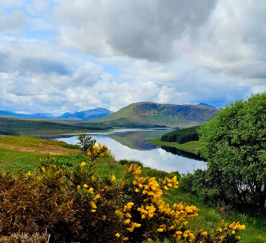 Whispers of Nature: A Serene Reflection of Mountains and Flora