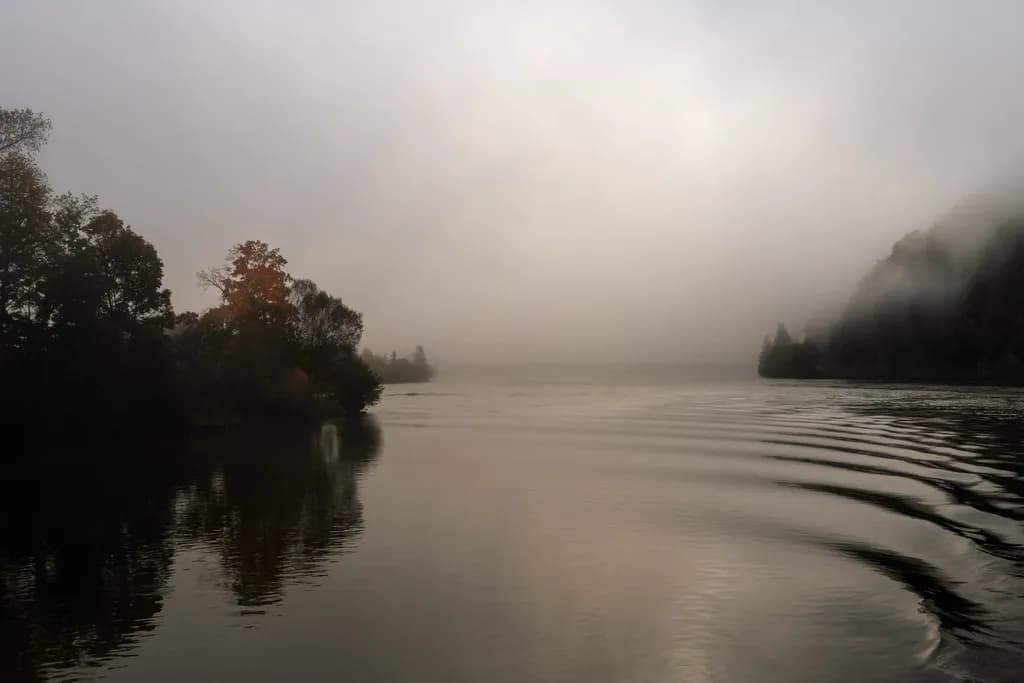Misty Lake Ripple