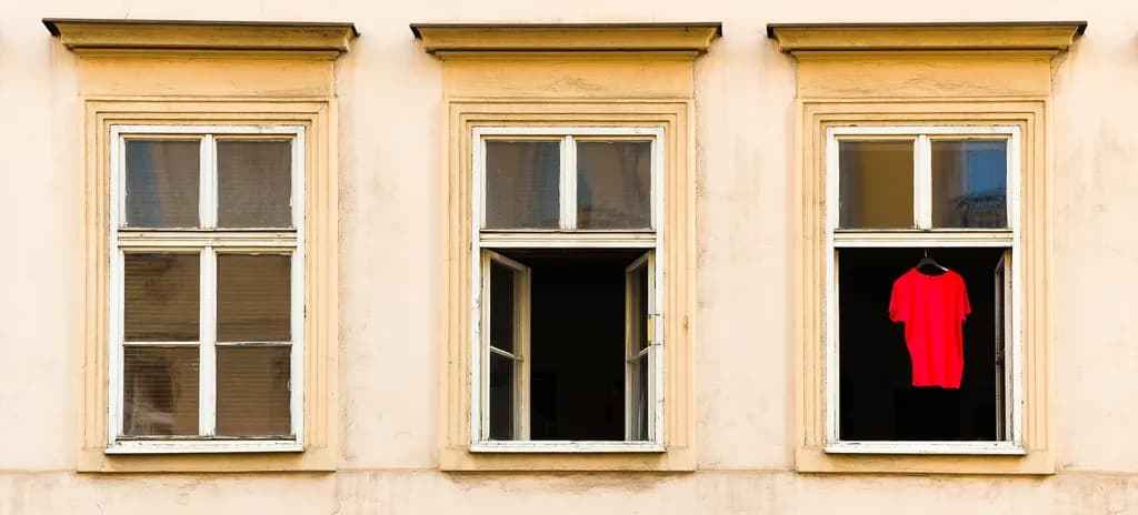 Red Shirt Window