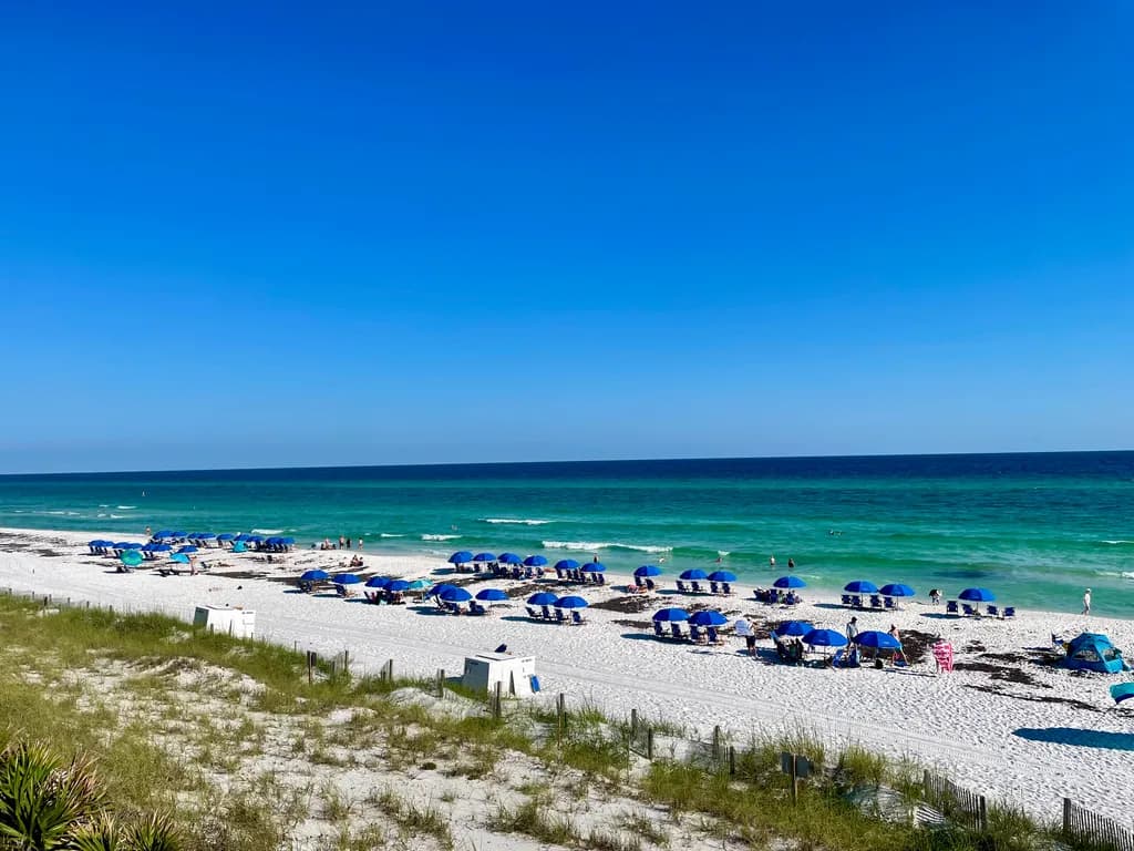 Azure Canopy Beach