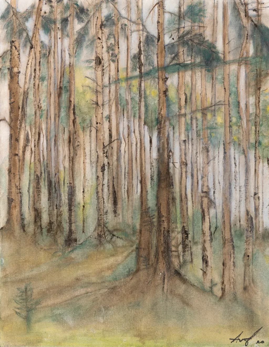 WOMEN TREES