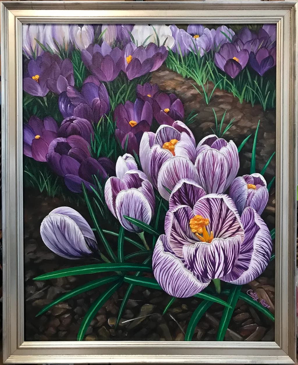 Purple Crocuses