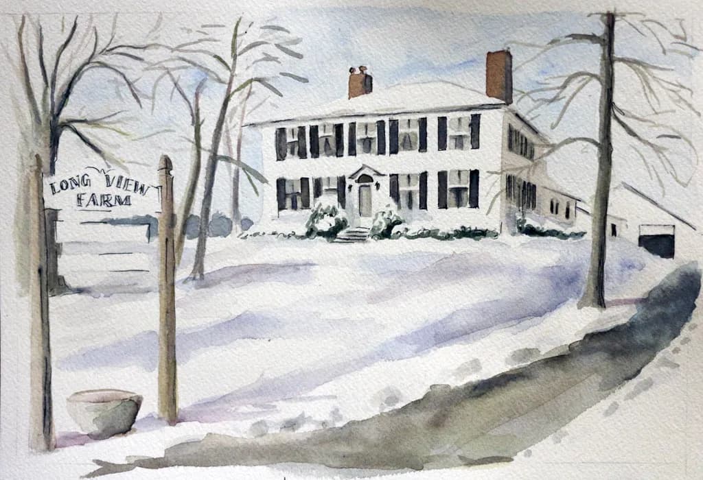 Whispers of Winter: A Serene Portrait of Long View Farm in Snowy Stillness