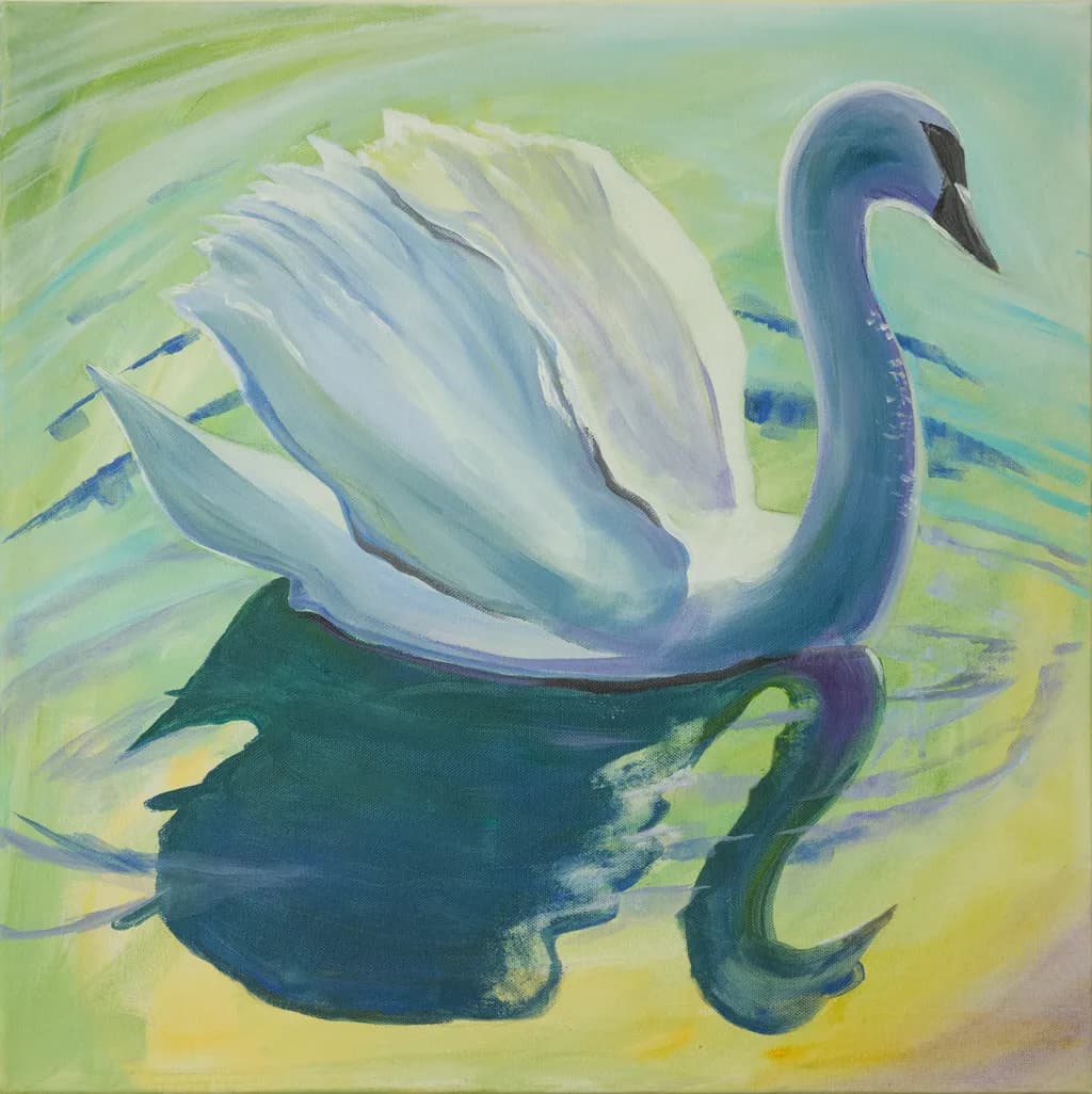 Morning Swan