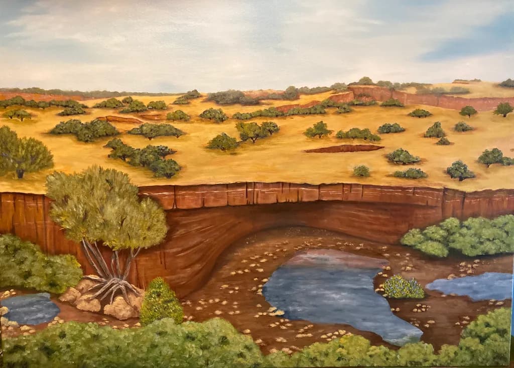 Canyon Serenity